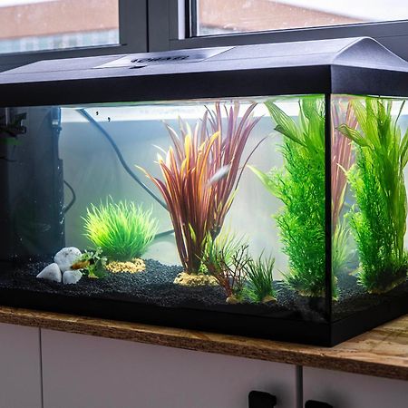 マルク・アン・バルールStudio Chaleureux Avec Aquariumアパートメント エクステリア 写真