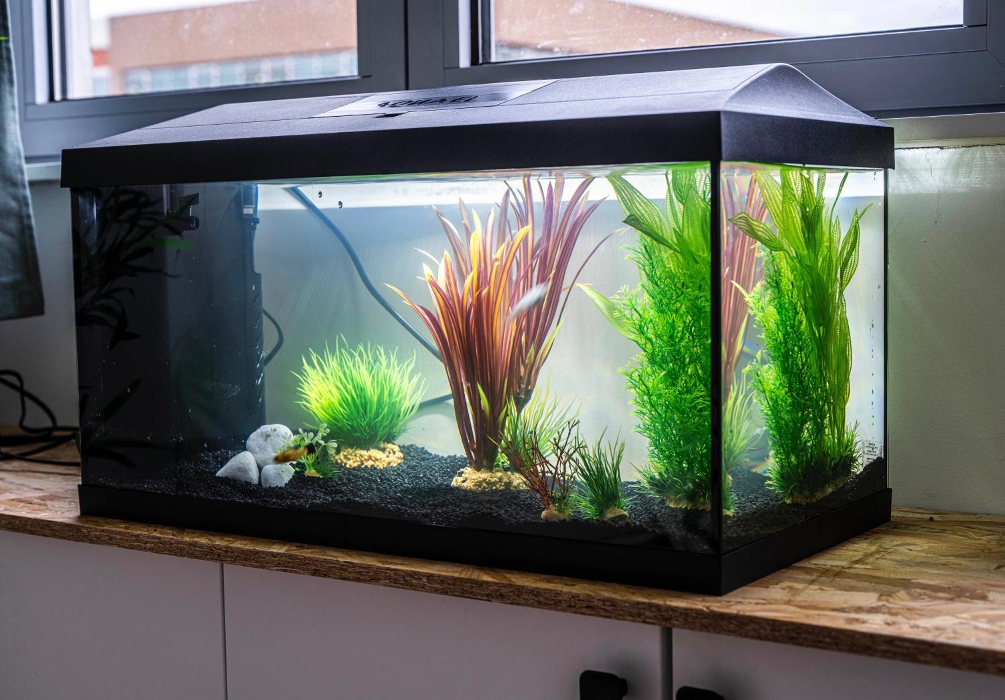 マルク・アン・バルールStudio Chaleureux Avec Aquariumアパートメント エクステリア 写真